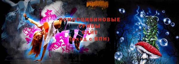 ешки Зерноград
